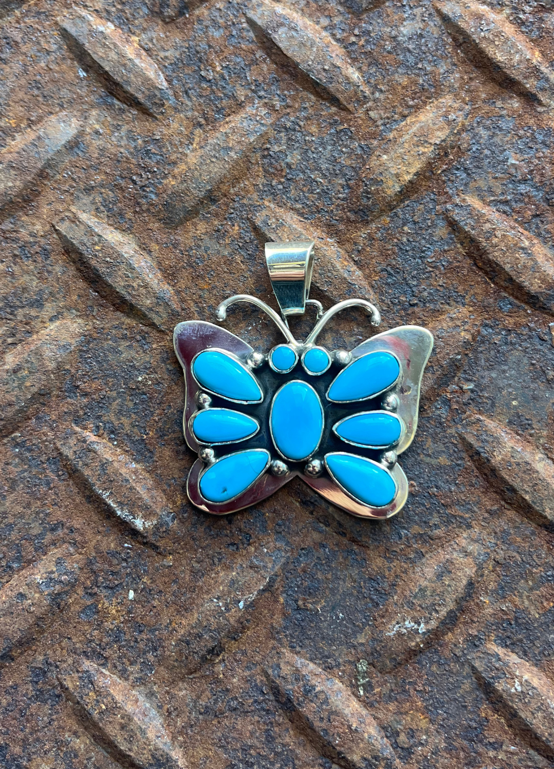 The Turquoise Butterfly