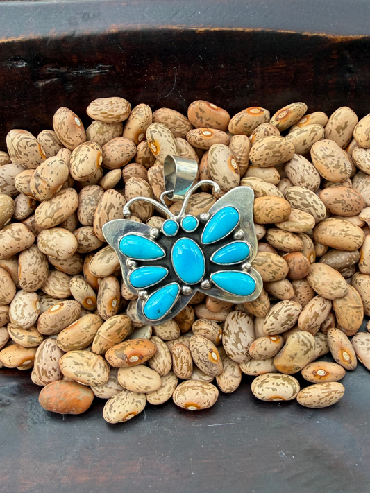 The Turquoise Butterfly