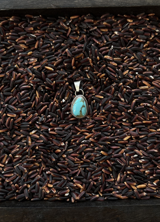 The Skyler Pendant